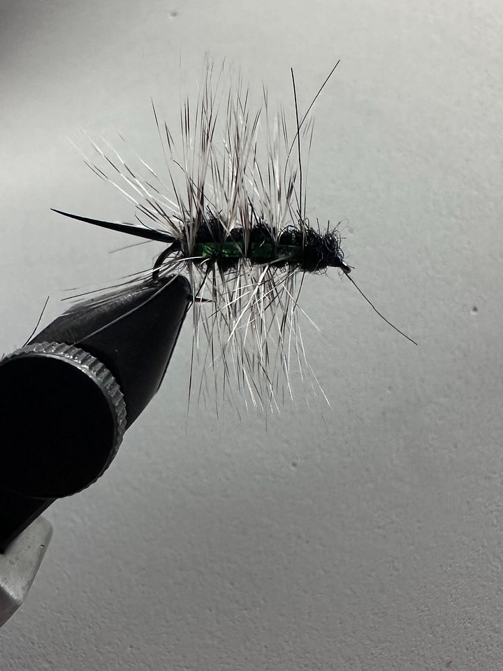 Catawba Mama Fly fishing Flies product image (2)