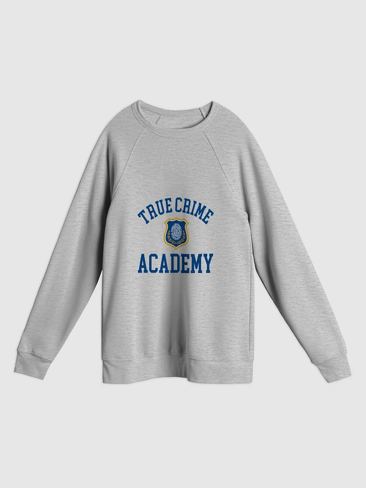 True Crime Academy Pullover Sweatshirt - Light Grey product image (1)