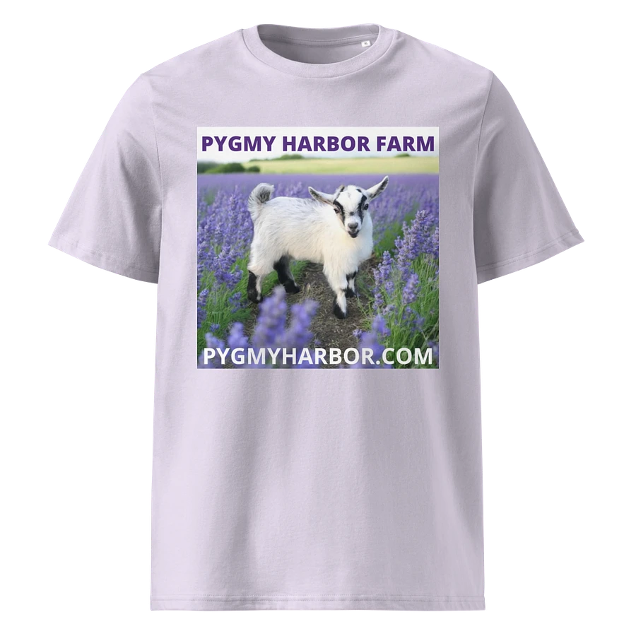 ADULT PYGMY GOAT T-SHIRT product image (1)