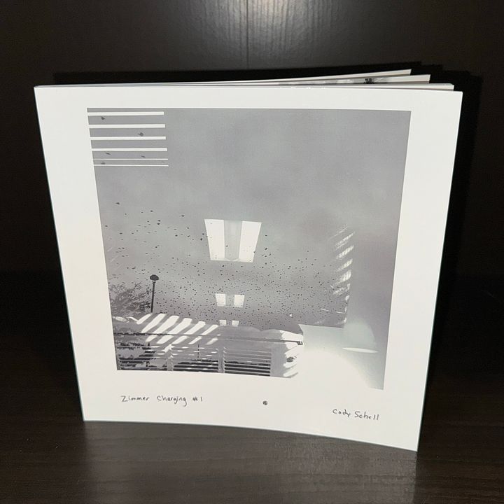 2018 - Zimmer Charging 1-1 Book product image (1)