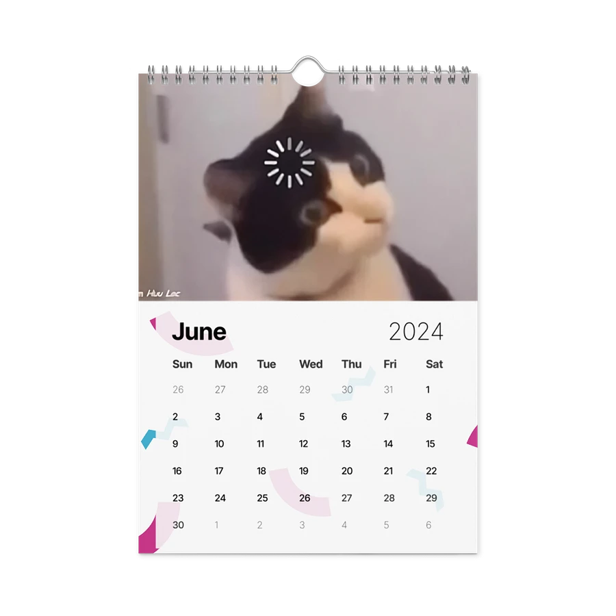 Wall Calendar (2024): Meme Cats product image (12)