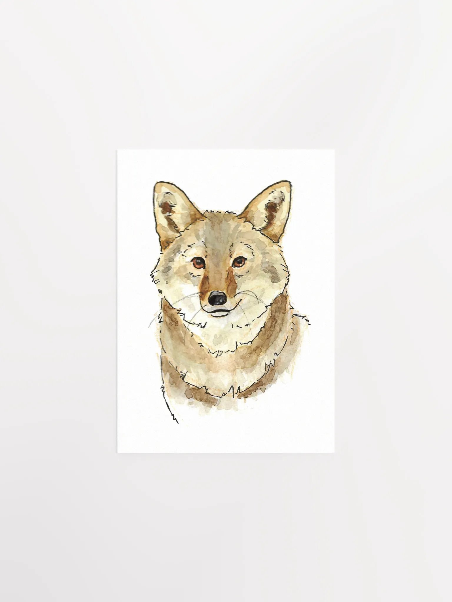 Watercolor Coyote Portrait - Art Print product image (5)