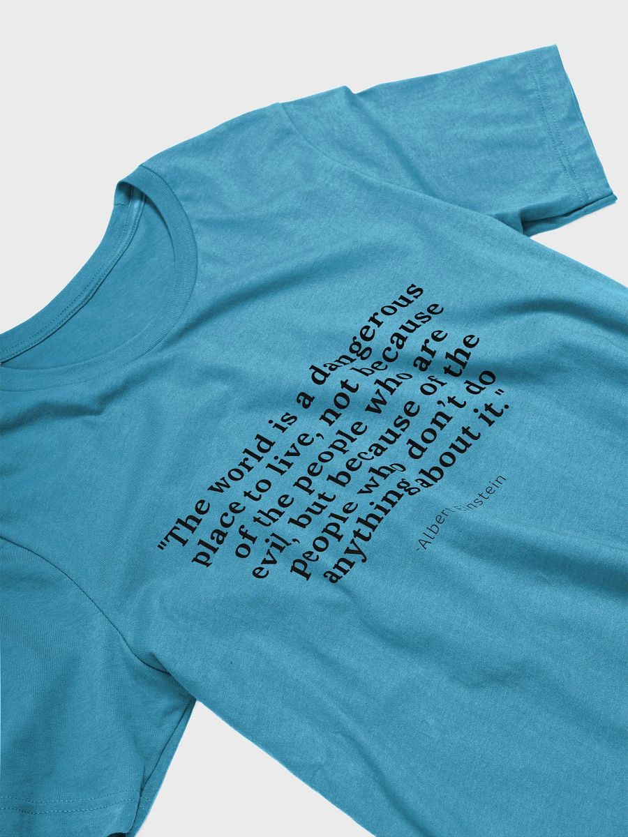 Albert Einstein quote product image (17)