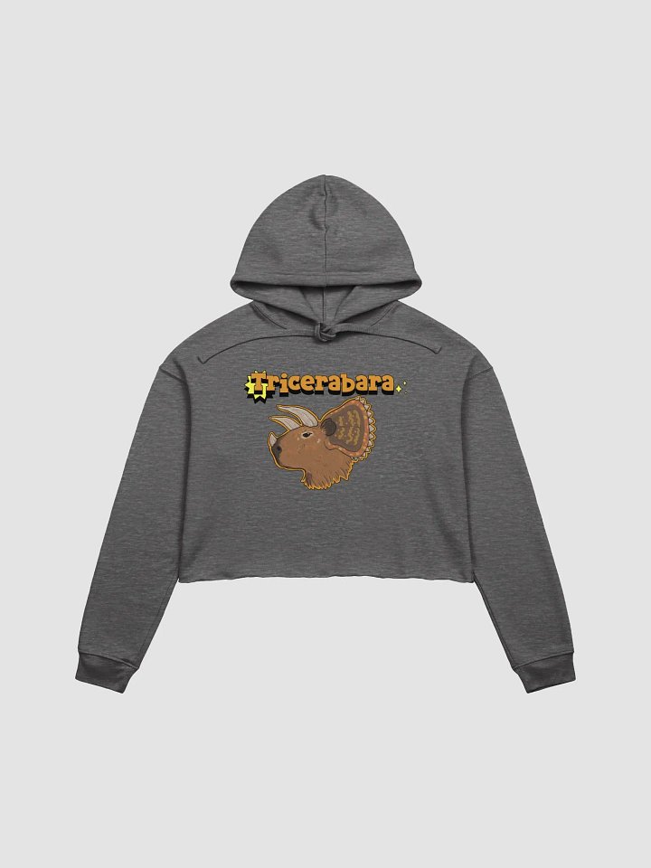 Tricerabara crop hoodie product image (1)