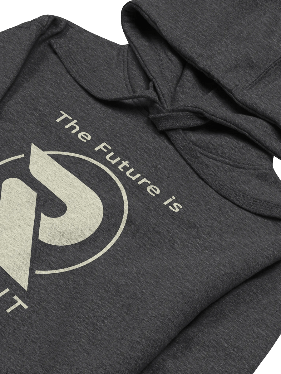 A Radiant Future Hoodie product image (3)