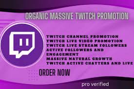 I will organically promote and bring the live viewers to your twitch channel product image (1)