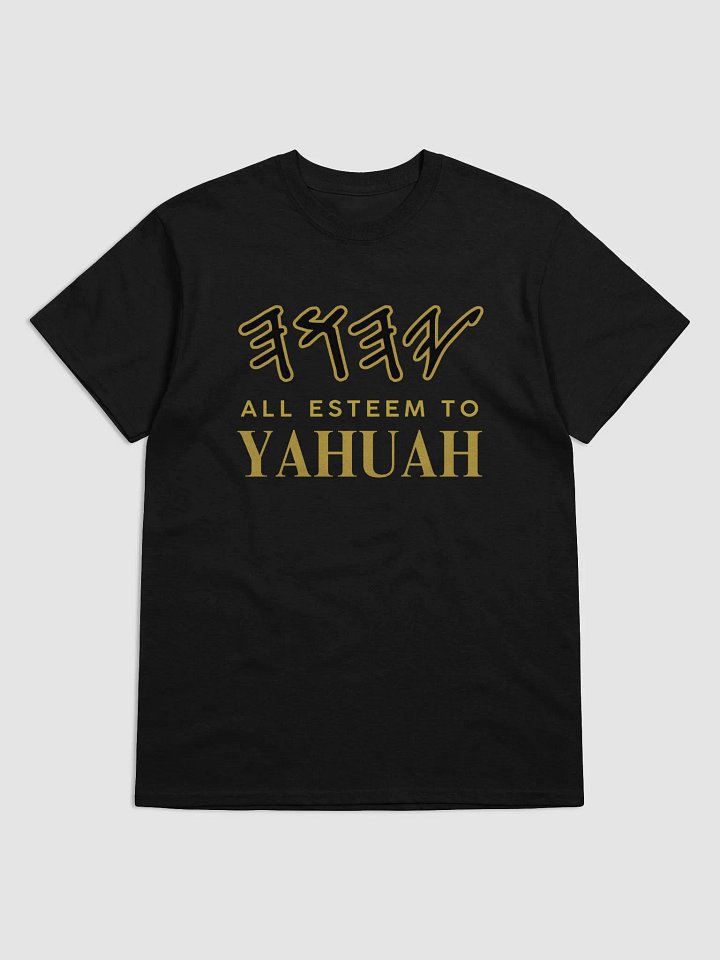 Yasharal Original Music: All Esteem To YAHUAH | T-Shirt | Black product image (1)