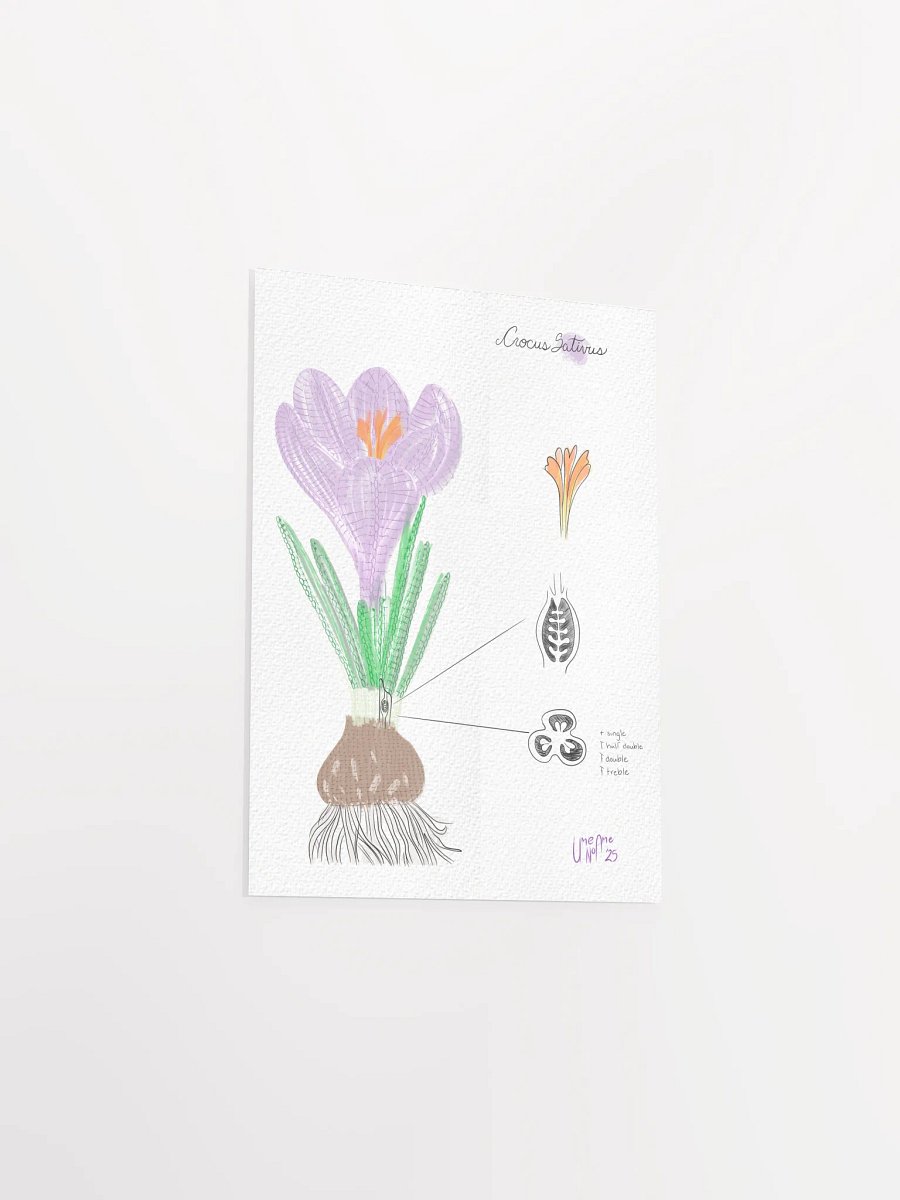 Crochet Vision: Crocus Print product image (6)