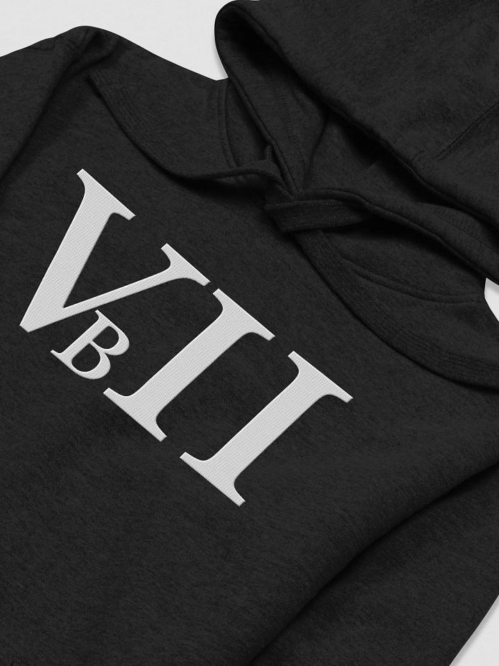 VBII Hoodie product image (1)