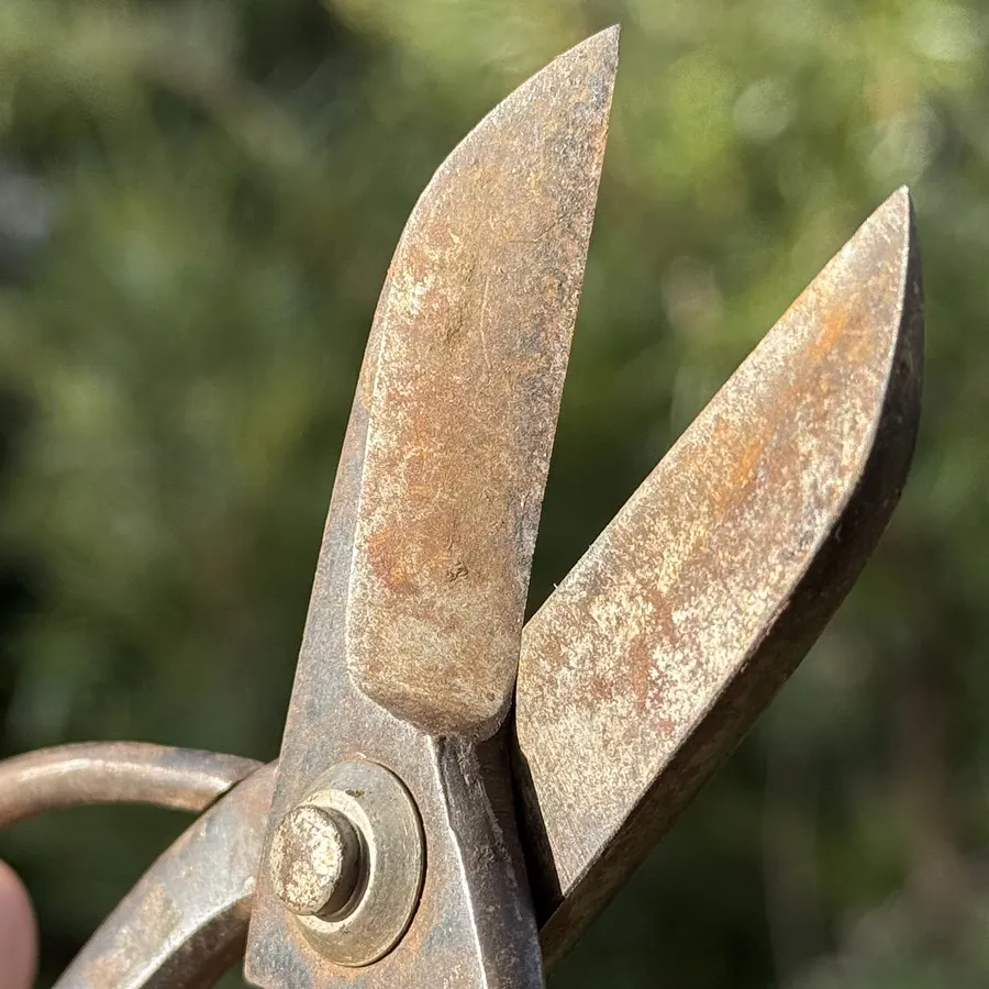🎎 Antique Japanese garden shears - Japan Antique Roadshow Description: product image (2)