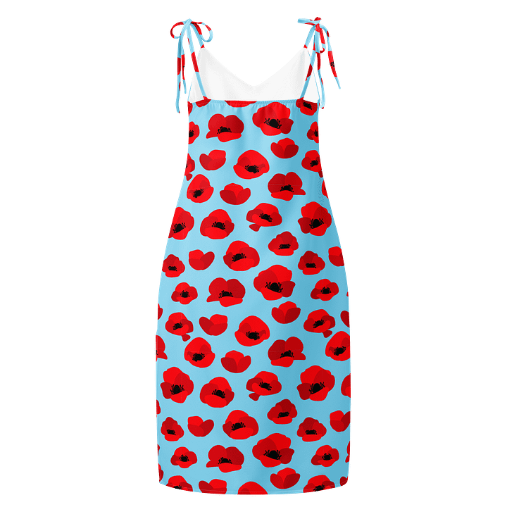 Sky Blue & Red Poppy Slip Dress product image (2)