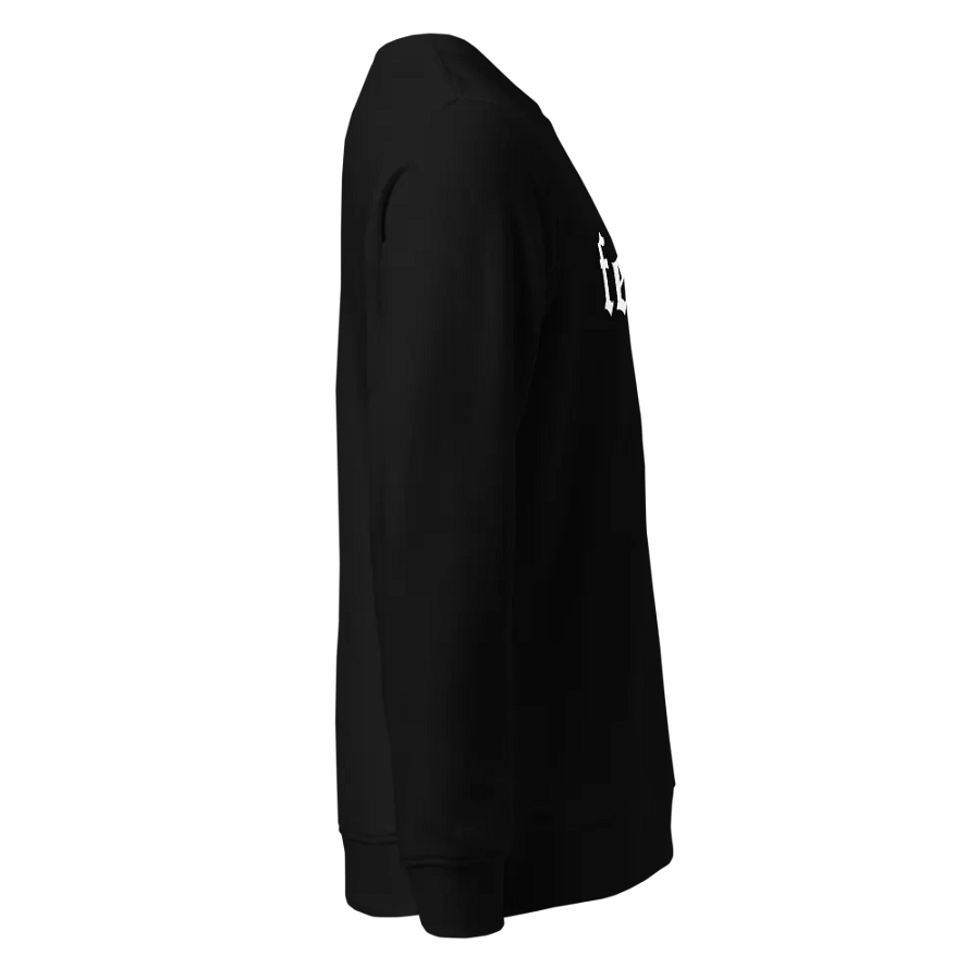 Feral Organic Comfort Sweatshirt product image (4)