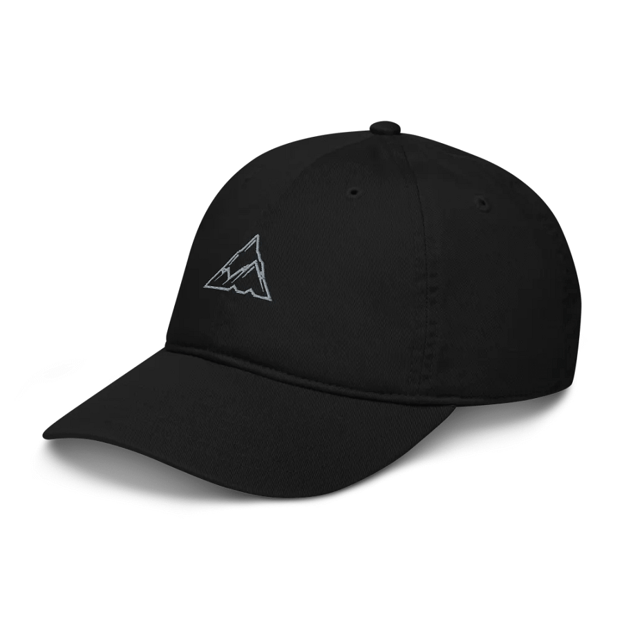 MOMENTUM Organic Dad Hat product image (3)
