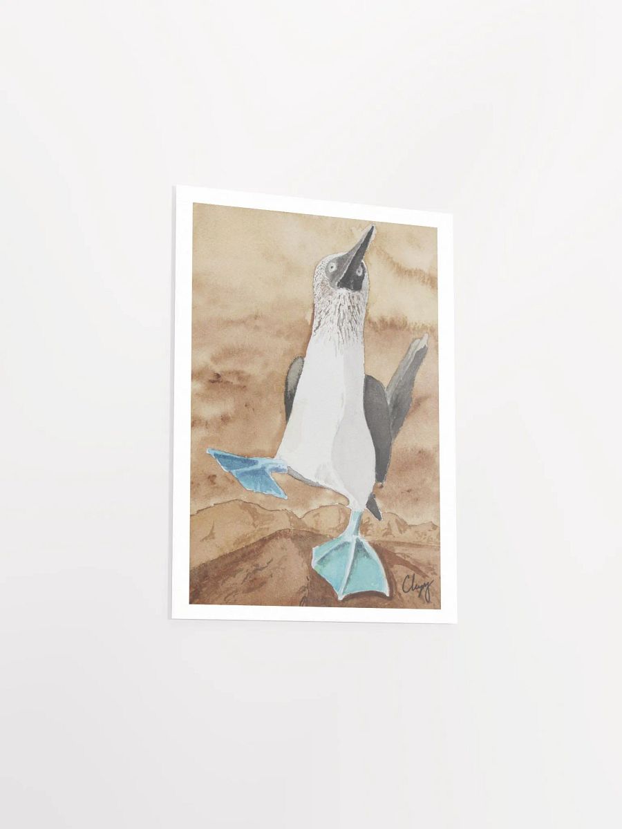 Blue Footed Booby Print product image (3)