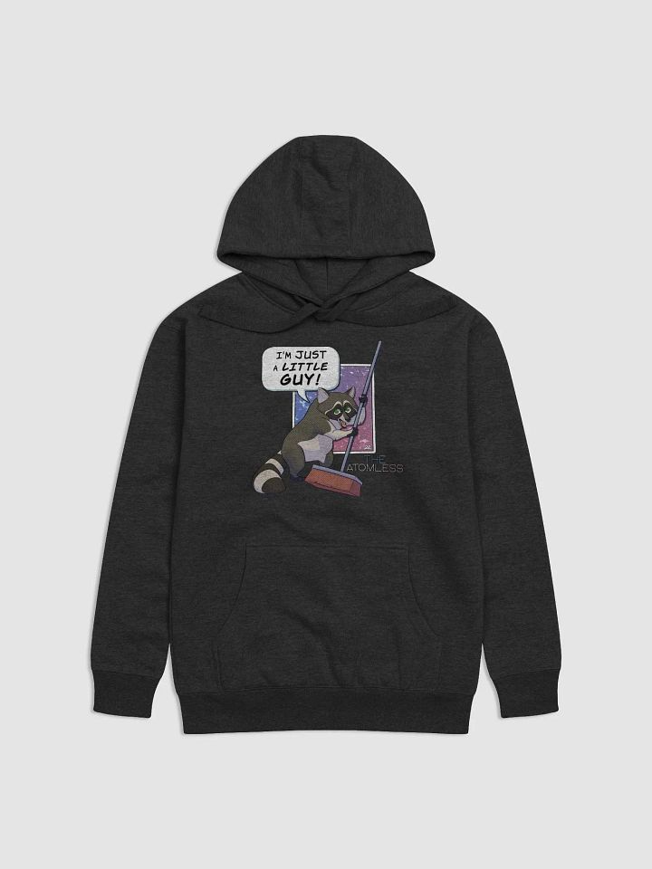 Guy the Racoon Hoodie product image (5)