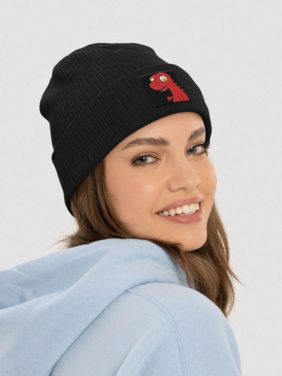 rexcellent beanie product image (7)