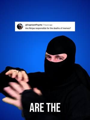 Who killed Memes? New episodes on YT! Ask your question in the comments. #memes #ninja