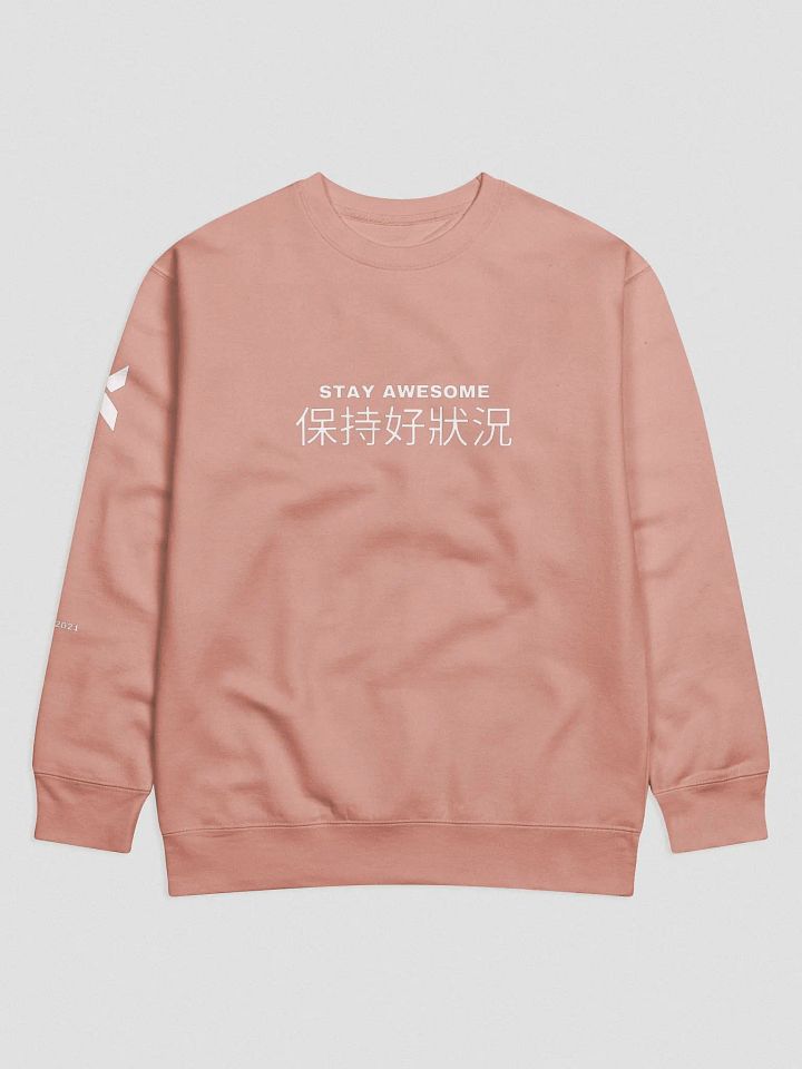 Stay Awesome Printed Sweat - (Available in 5 colours) product image (1)