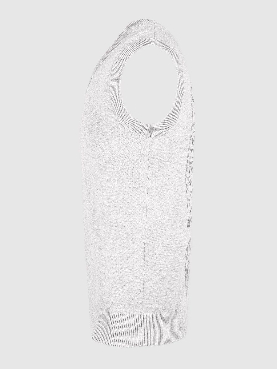 Take Flight - Jacquard V-Neck Vest product image (6)