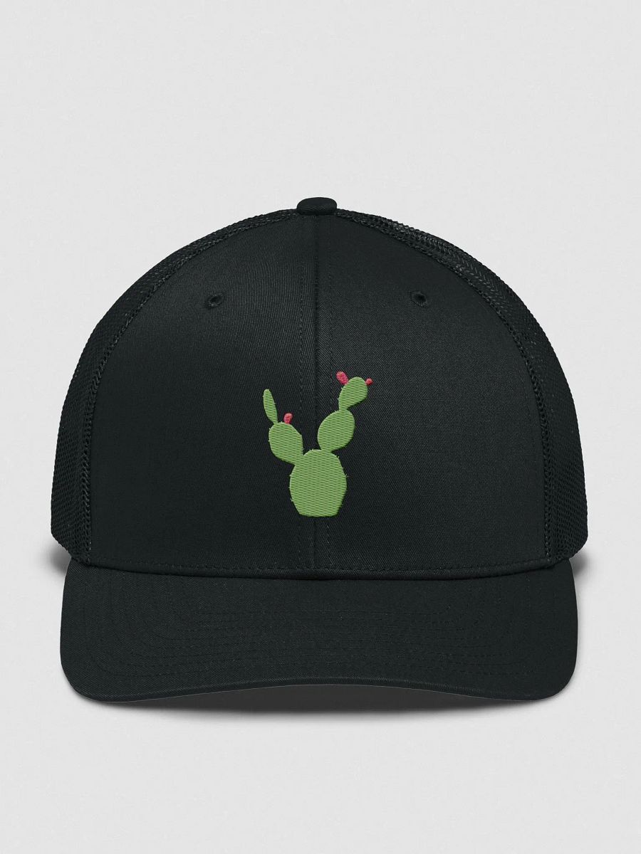 Con el Nopal en La Frente Snapback product image (1)