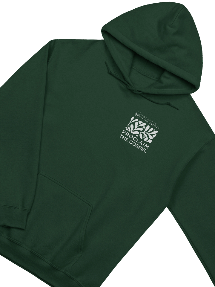 Proclaim Christ Without Fear Comfort Hoodie product image (2)