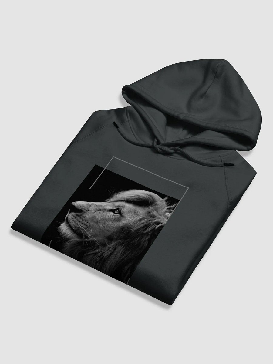 Majestic Hoodie product image (5)