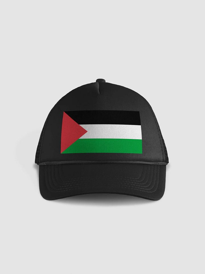 Palestine Cap product image (1)