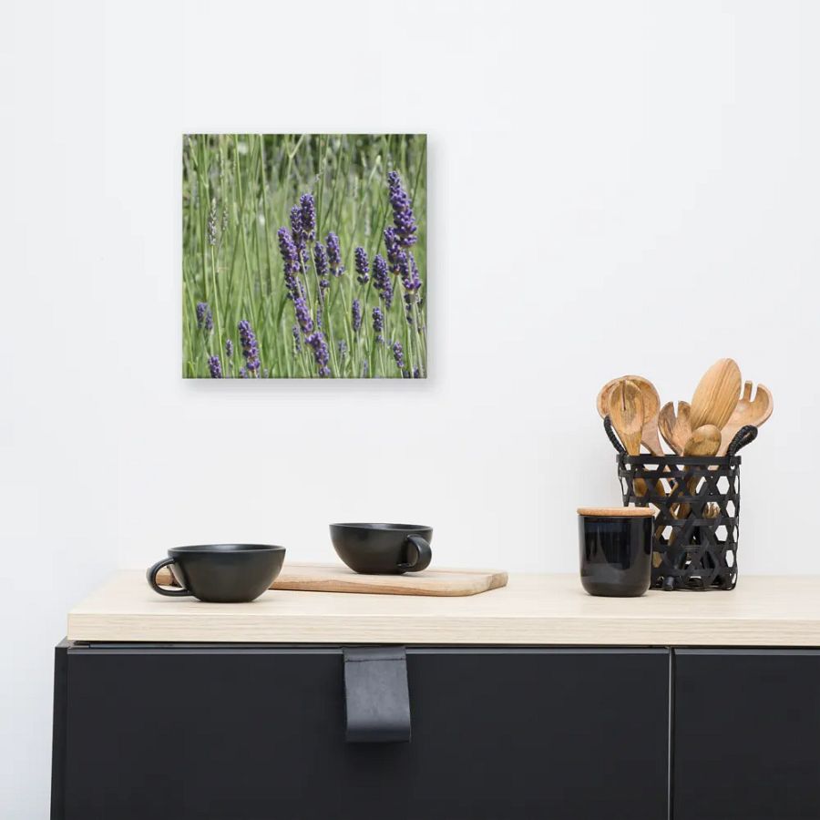 Field of Lavender product image (8)