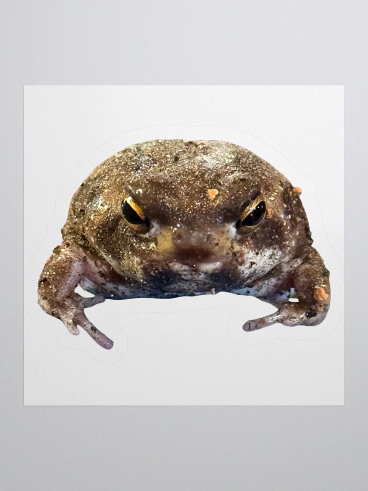 Mad Rain Frog Sticker product image (3)