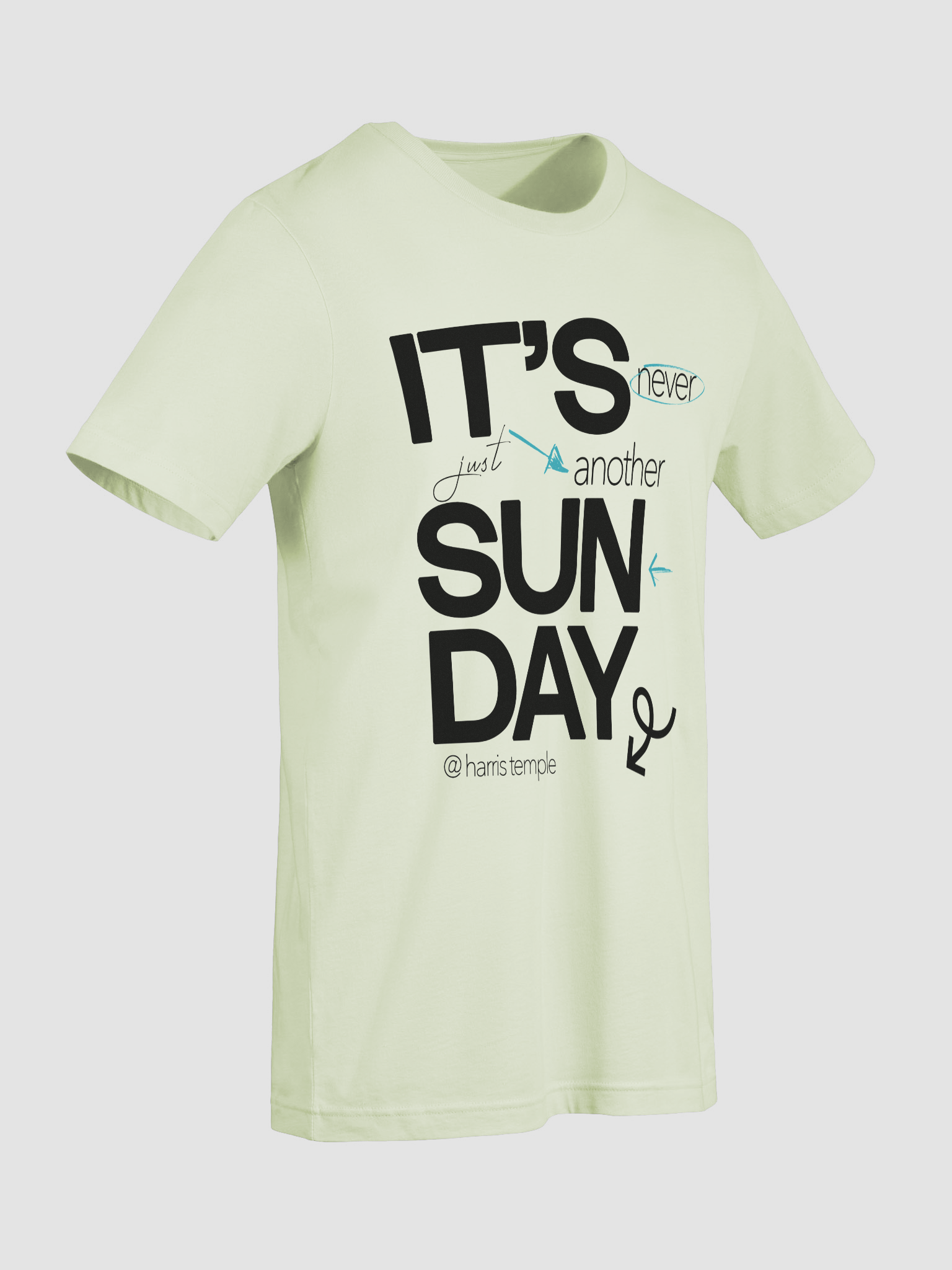 Elevate Your Style with Temple Merch Highlight T-Shirt product image (9)