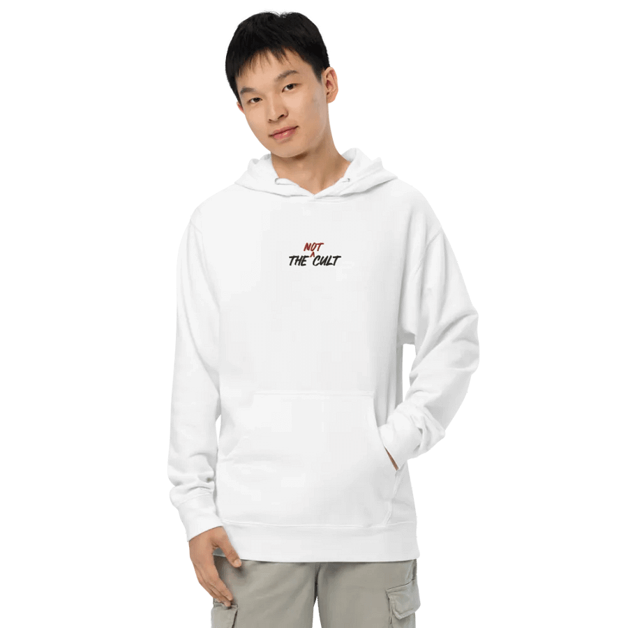 Not-Cult Embroidered Hoodie (LIGHT) product image (3)