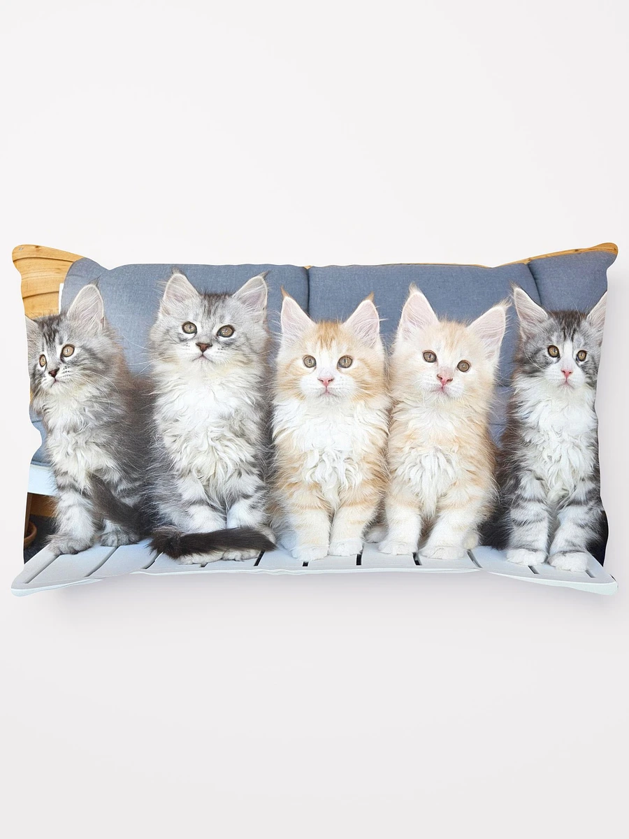 Maine Coon Kittens Pillow product image (5)