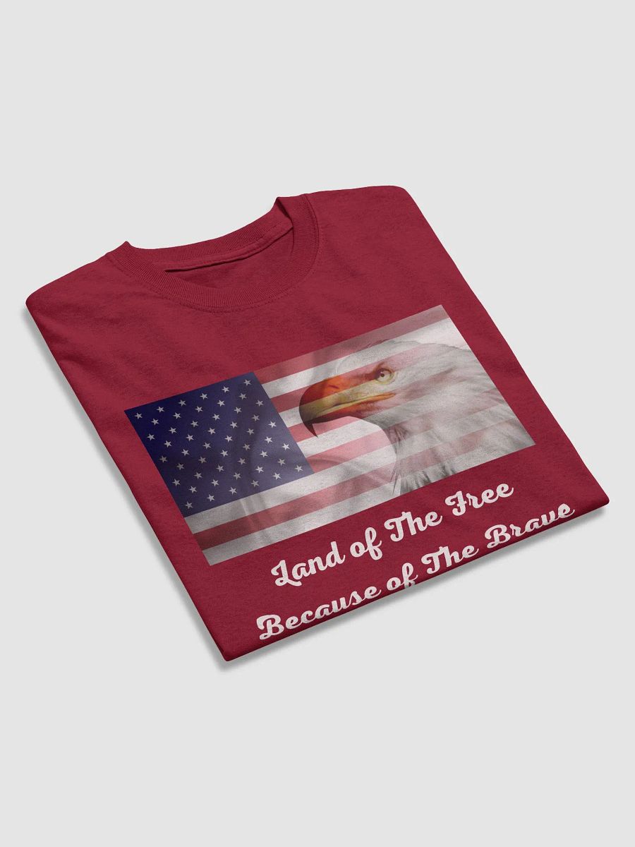 Land of The Free T Shirt product image (3)