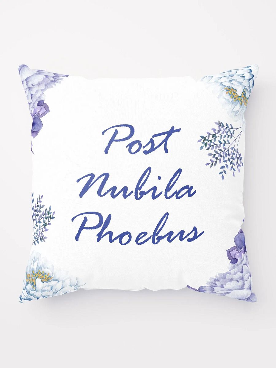 Post Nubila Phoebus Pillow product image (8)