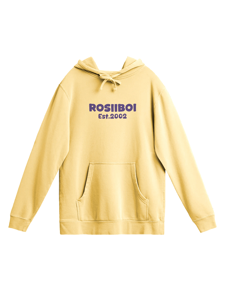 'ROSIIBOI Est. 2002' Hoodie product image (56)