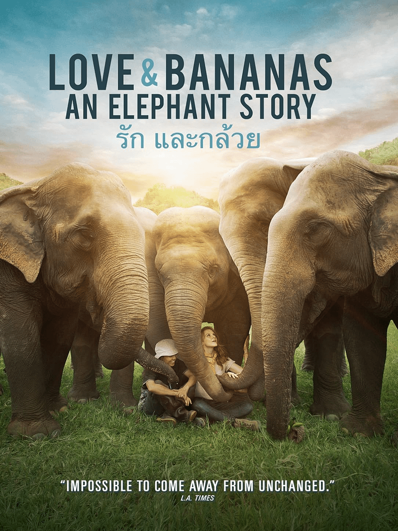 Love & Bananas: An Elephant Story. Directed by and Starring Ashley Bell.