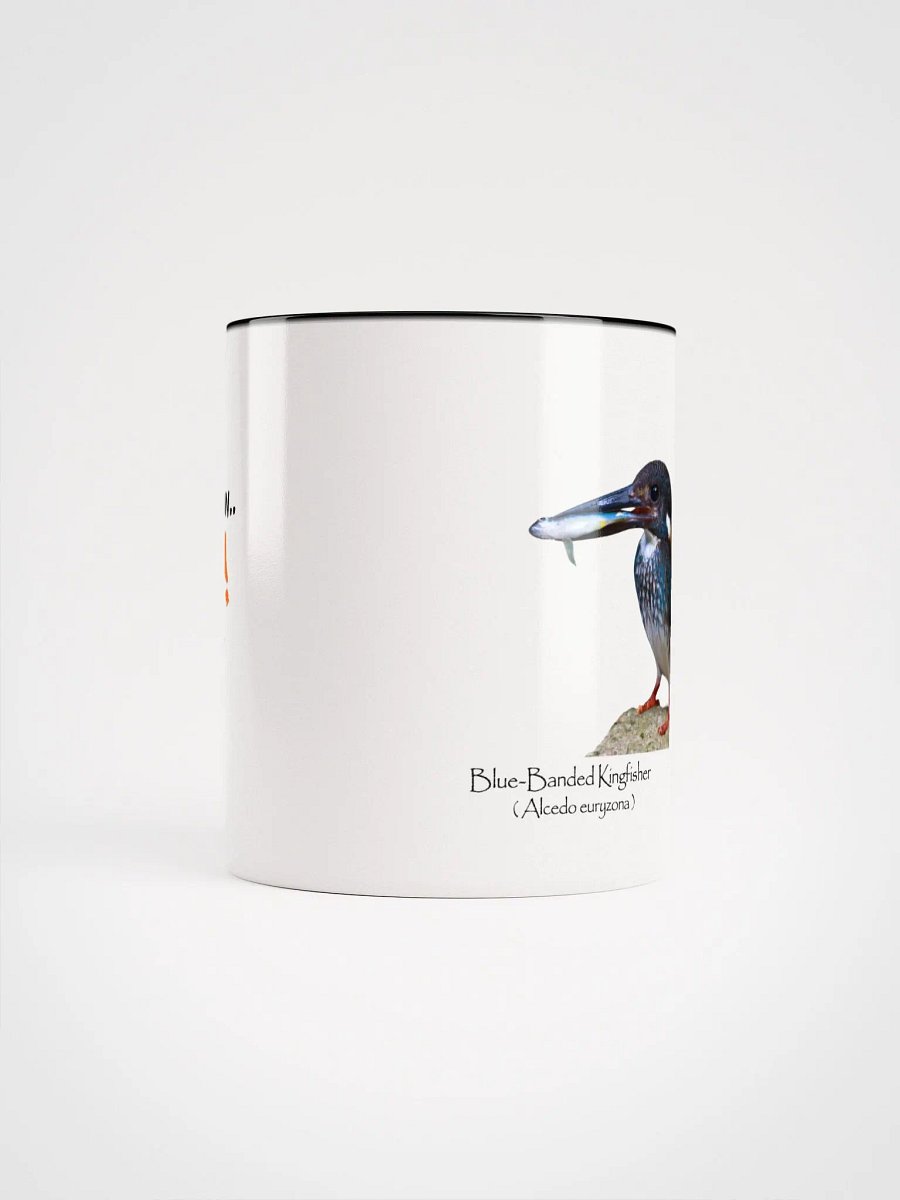 Blue-Banded Kingfisher mug product image (42)