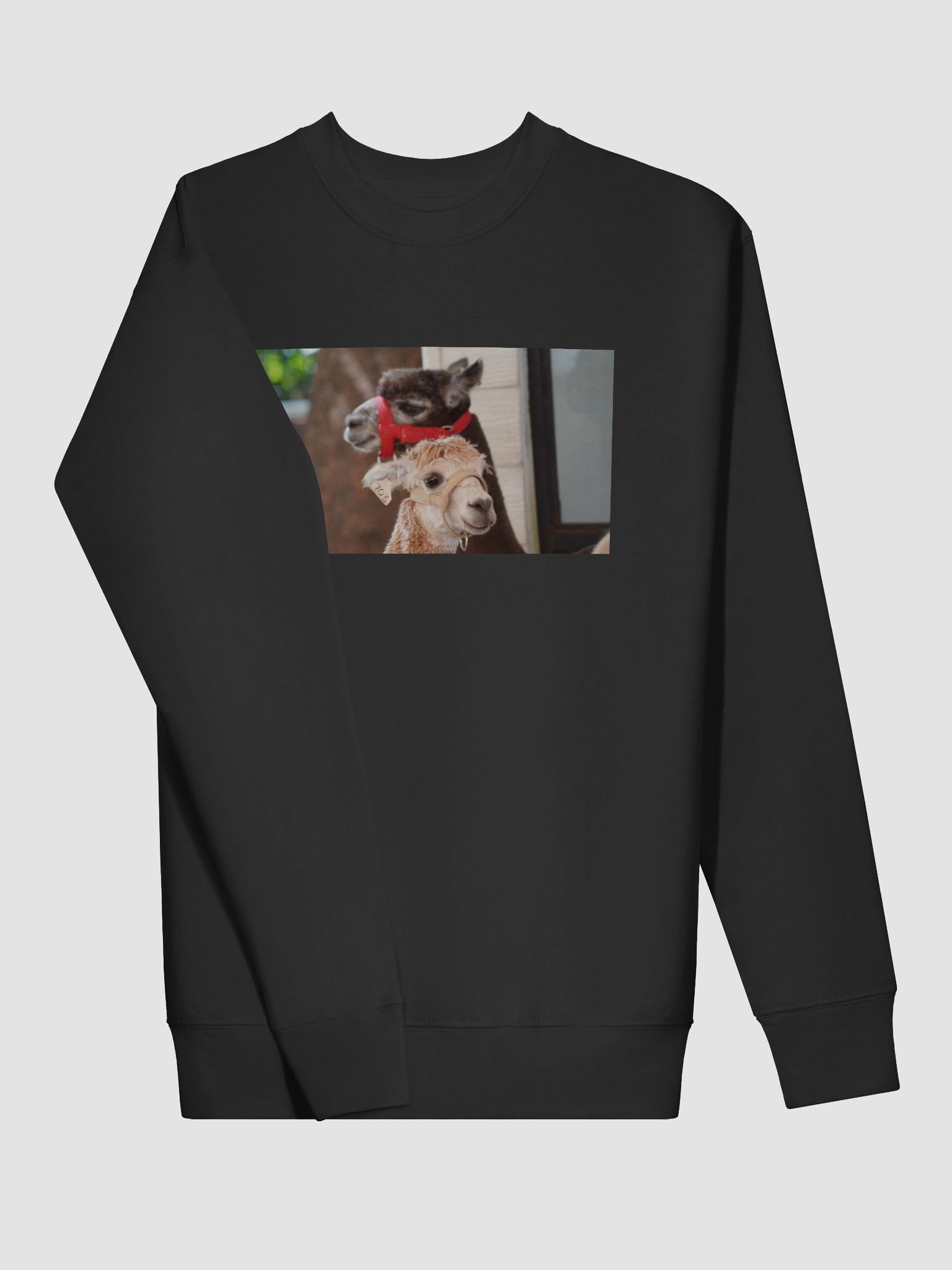 Alpaca Harmony Premium Sweatshirt product image (3)