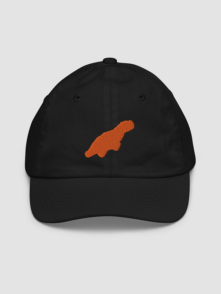 Dino Dad Hat product image (2)