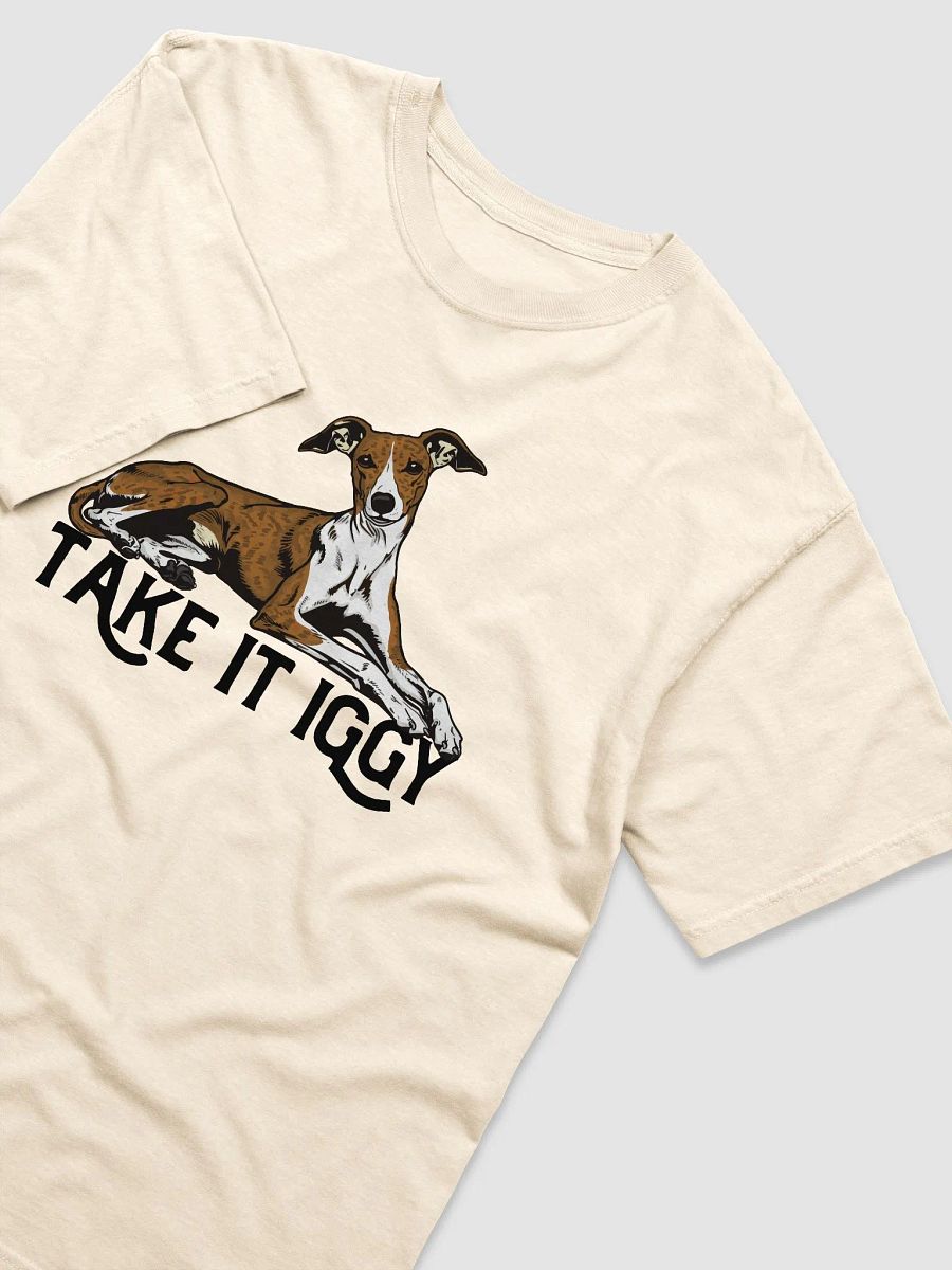Take It Iggy T-Shirt of an Italian Greyhound (Brindle) | Funny T-Shirt for Iggy Paw-rents product image (21)