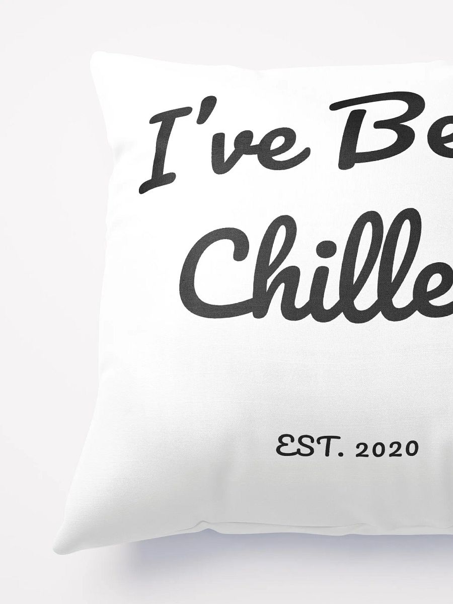 I've Been Chilled Pillow product image (3)