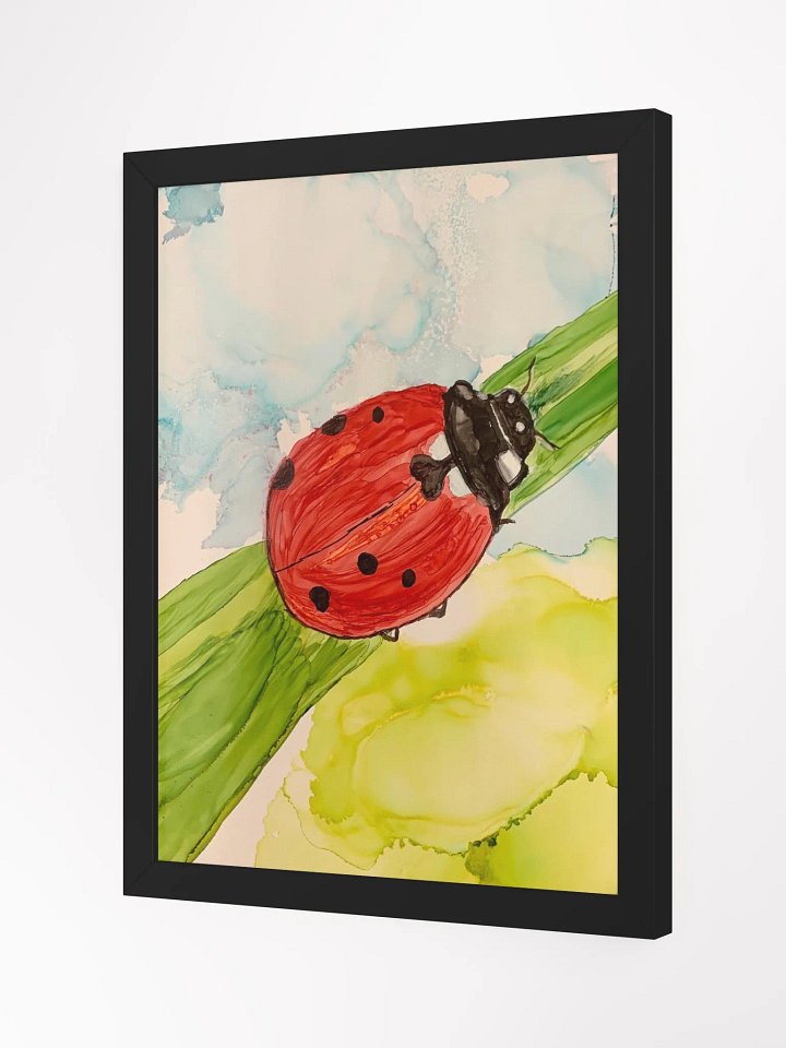 Lady Bug product image (4)