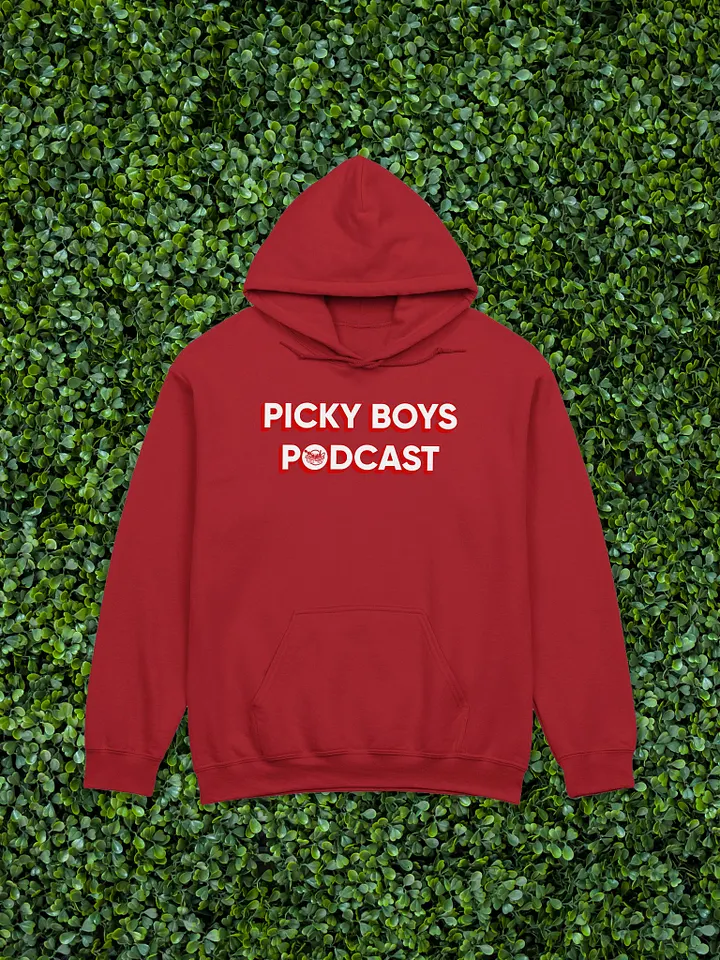 Picky Boys Podcast Hoodie (7 Colors) product image (1)