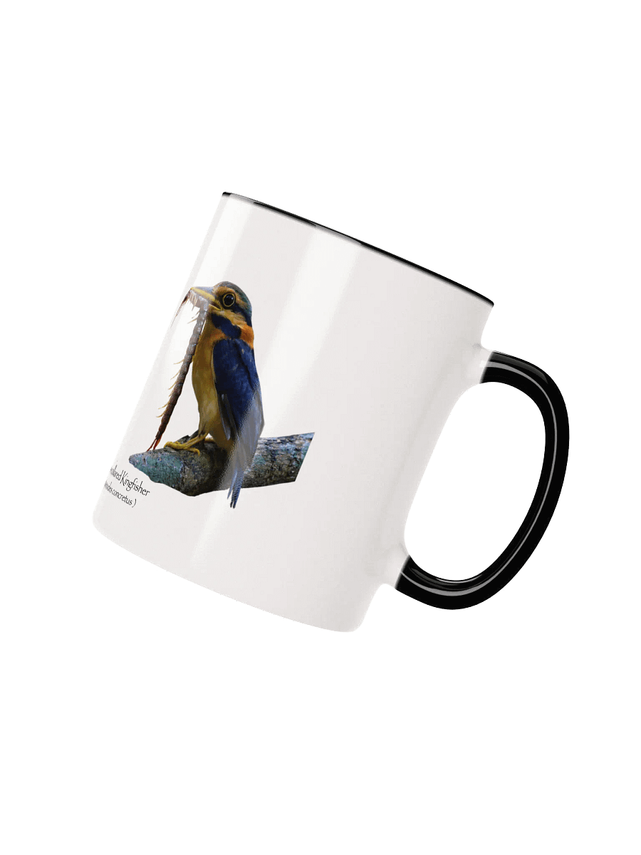 Rufous-collared Kingfisher mug product image (17)