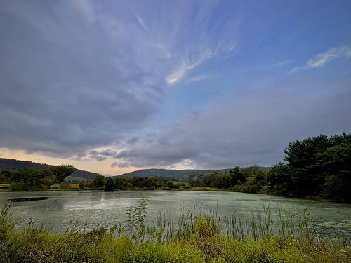We stopped at a park on the way home ☺️
.
.
.
.
.
.
.
.
.
.
#statepark #stateparks #home #sunset #pond #travel #pictureoftheday