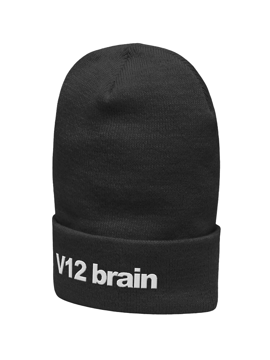 V12 Beanie product image (2)