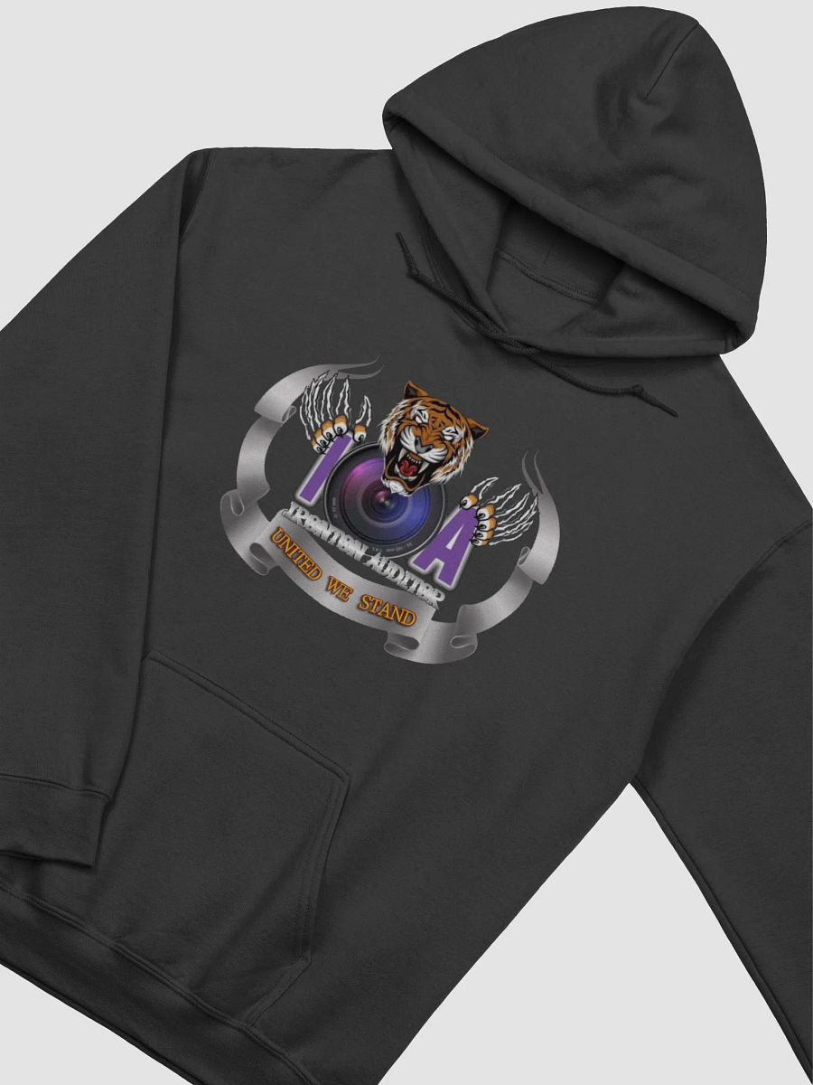 Ladies IA Hoodie product image (35)