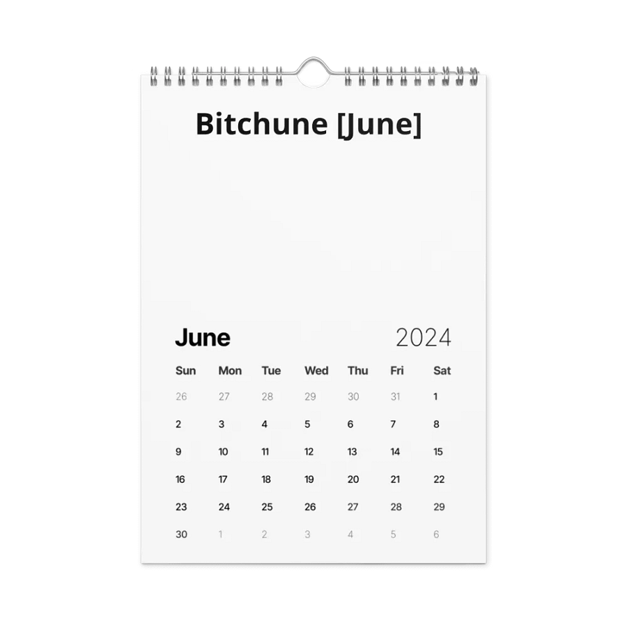 CUSS WORDS calendar 2024 product image (8)