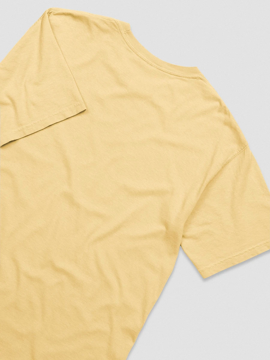 sneaky ⟡ embroidered tee [9 colors] product image (4)