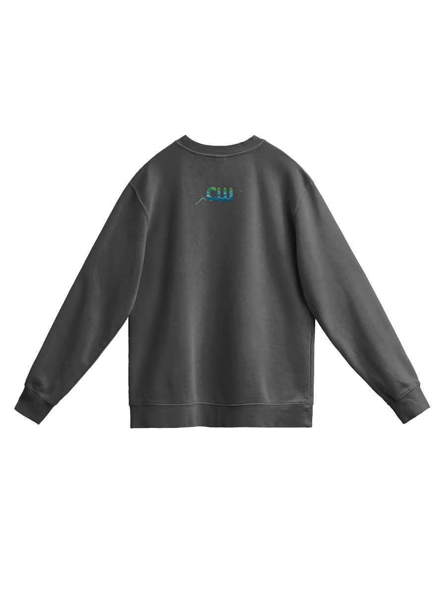 BRO Unisex Pigment Dyed Sweatshirt product image (25)